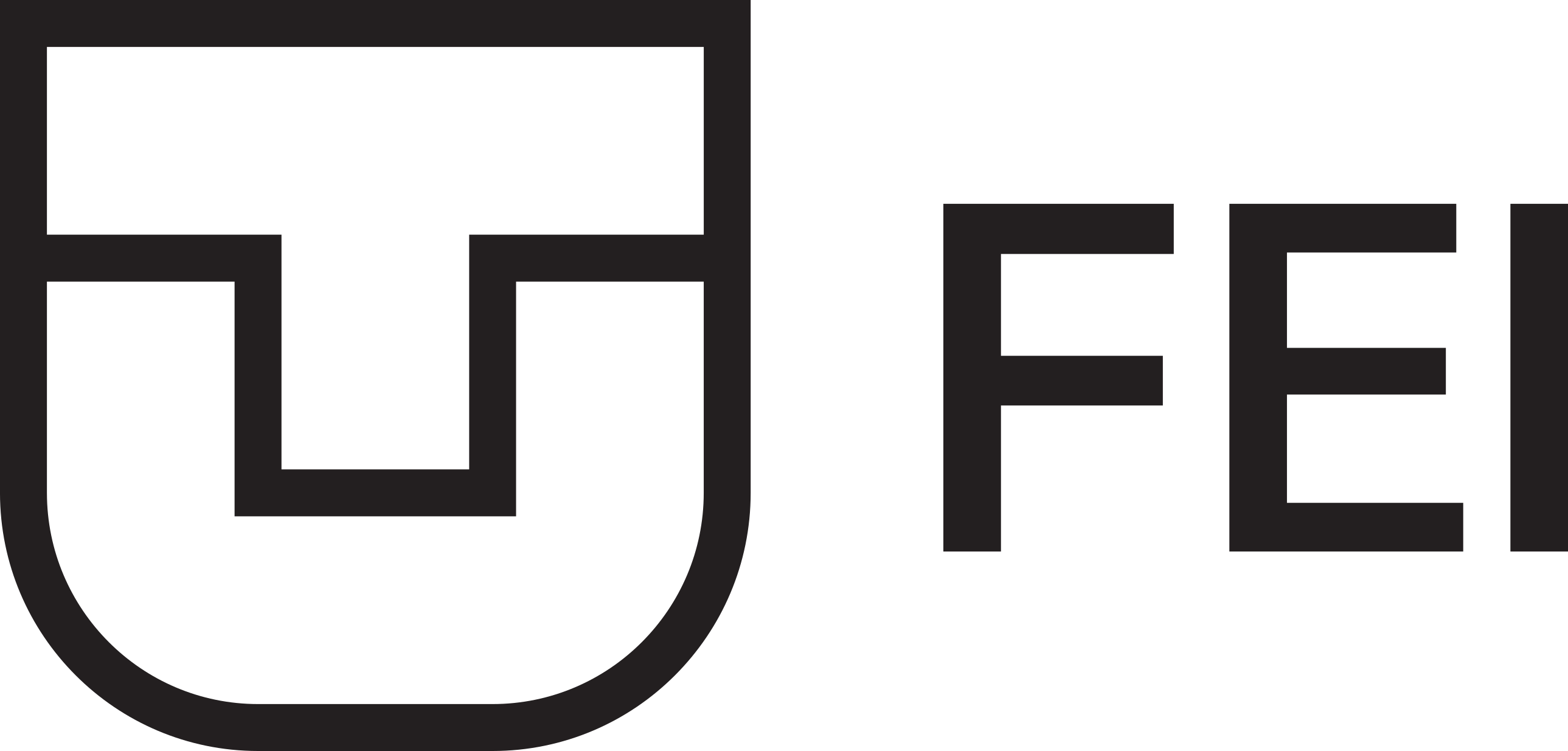 FEI logo